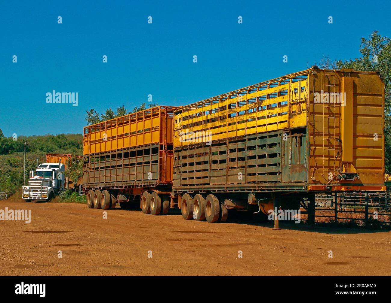 Huge road train used for transporting live cattle through Western Australia and the Australian outback Stock Photo
