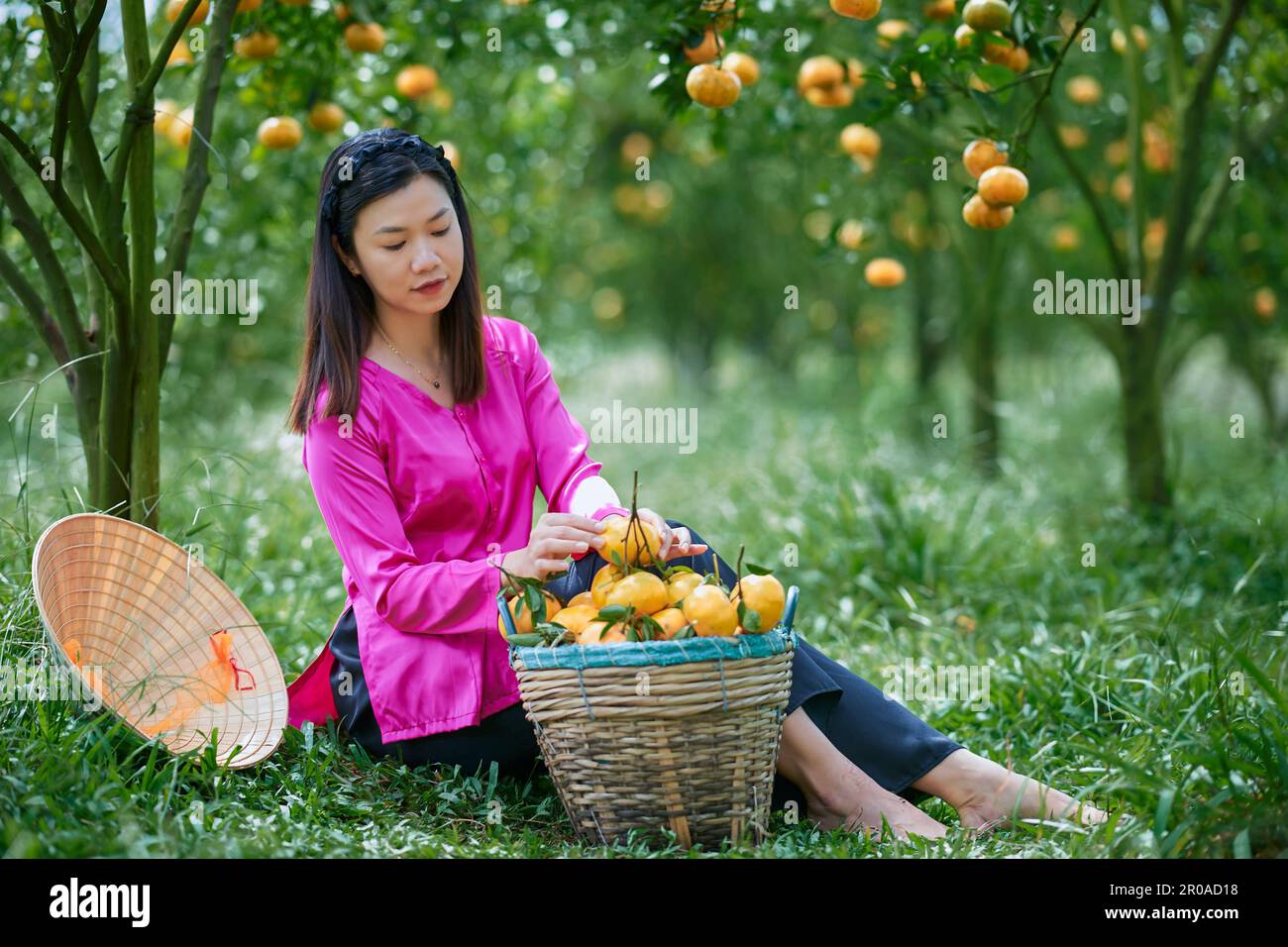 Sa Dec city, VietNam: Western girl portrait in ripe tangerine garden Stock Photo