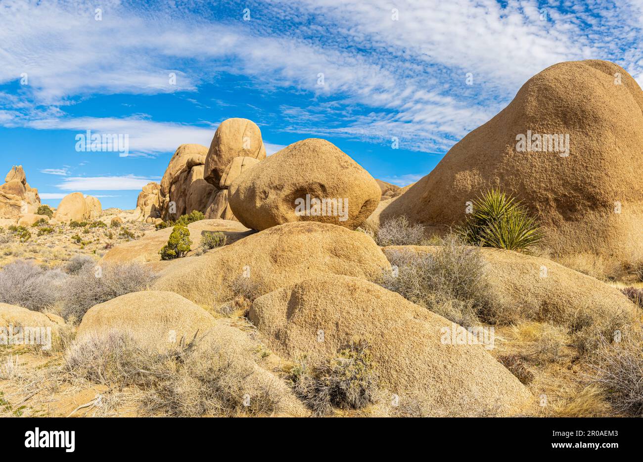 Granite Rock Formations on The Split Rock Loop Trail, Joshua Tree
