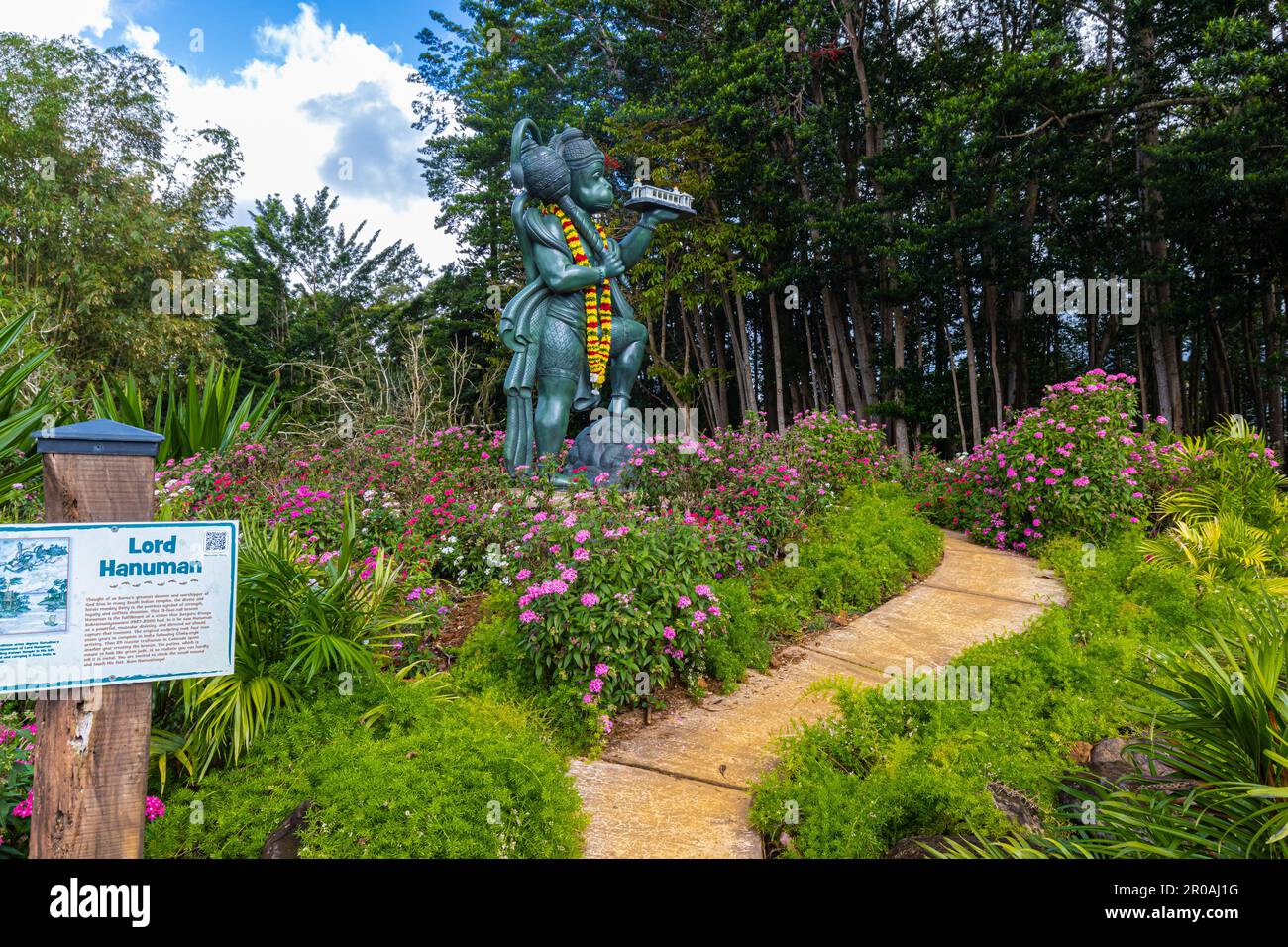 Sacred rudraksha forest hires stock photography and images Alamy