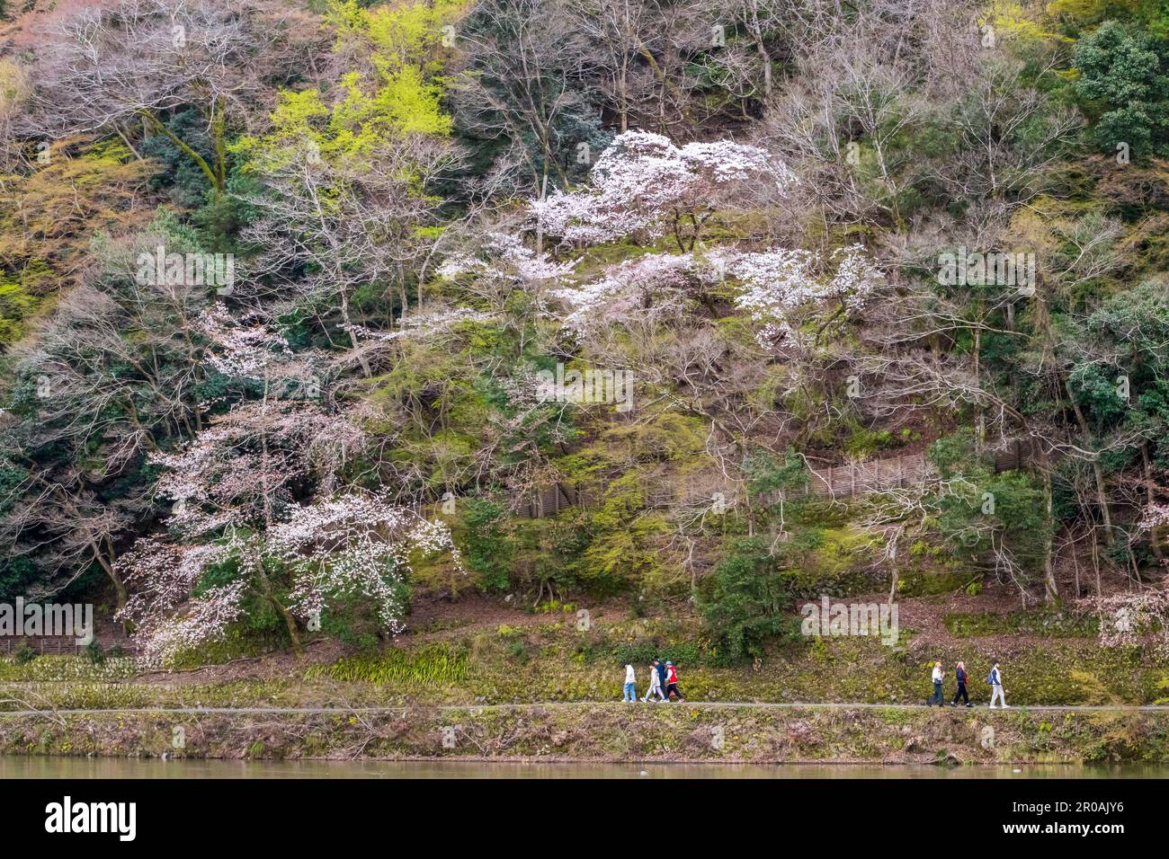 Beautiful Kameyama Park near Katsura River in Arashiyama, Kyoto, Japan