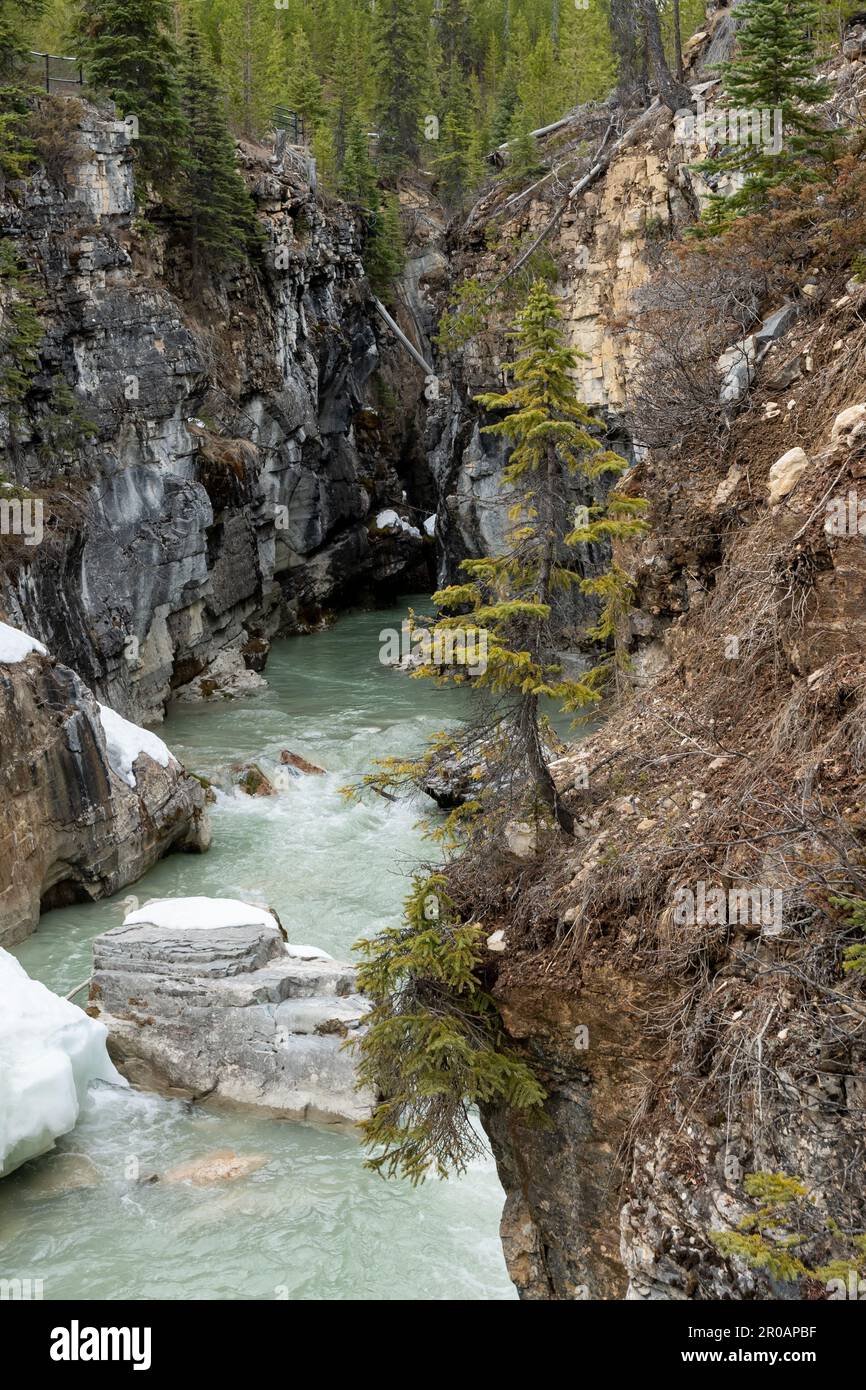 Marble Canyon near Banff National park during the spring time with snow ...