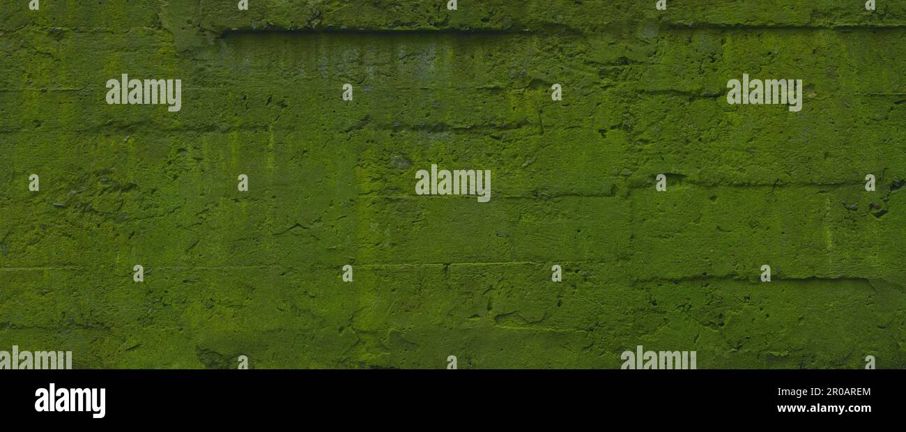 old mossy concrete wall bacground Stock Photo