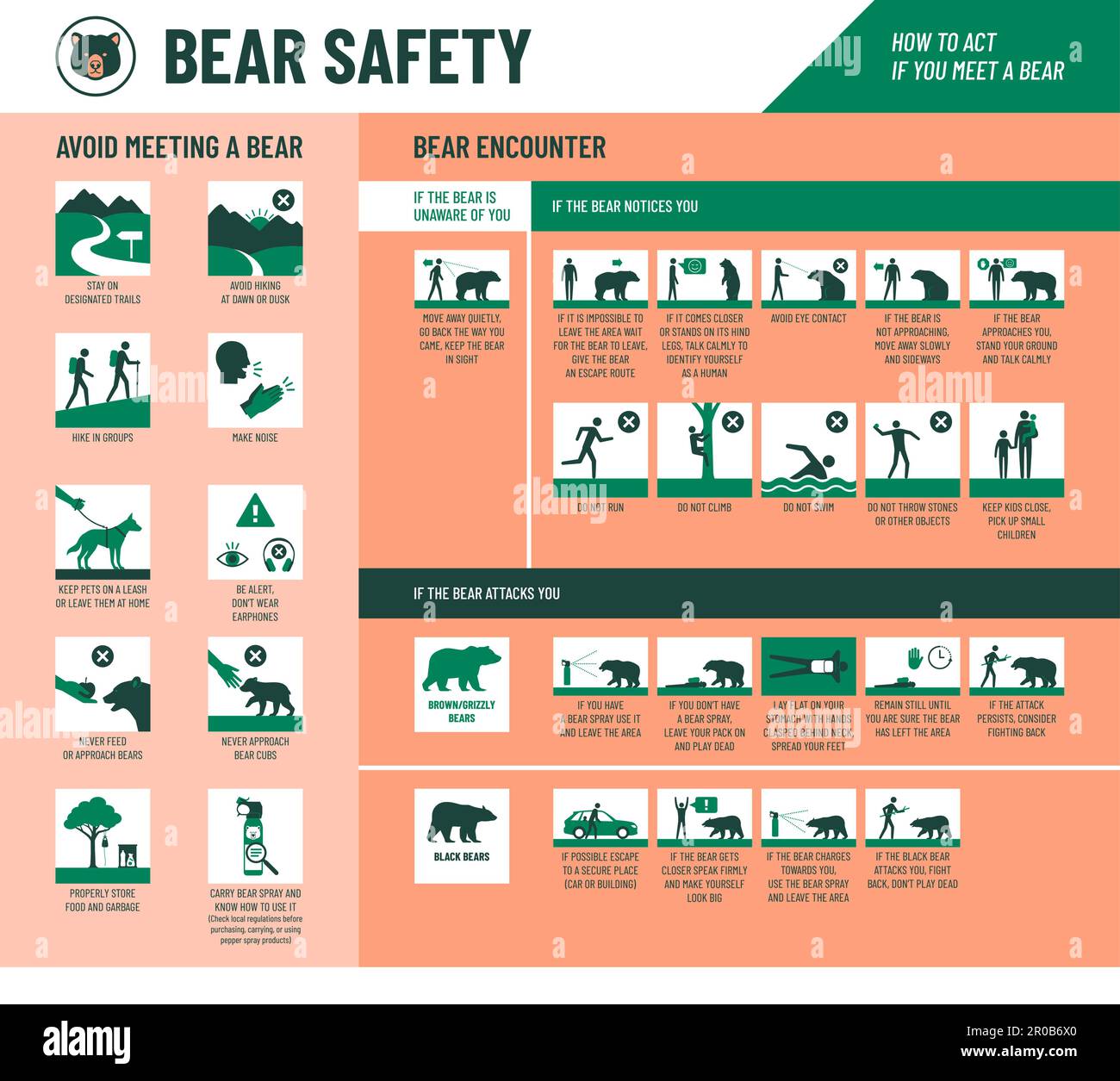 Bear safety infographic with icons set: how to avoid meeting a bear and