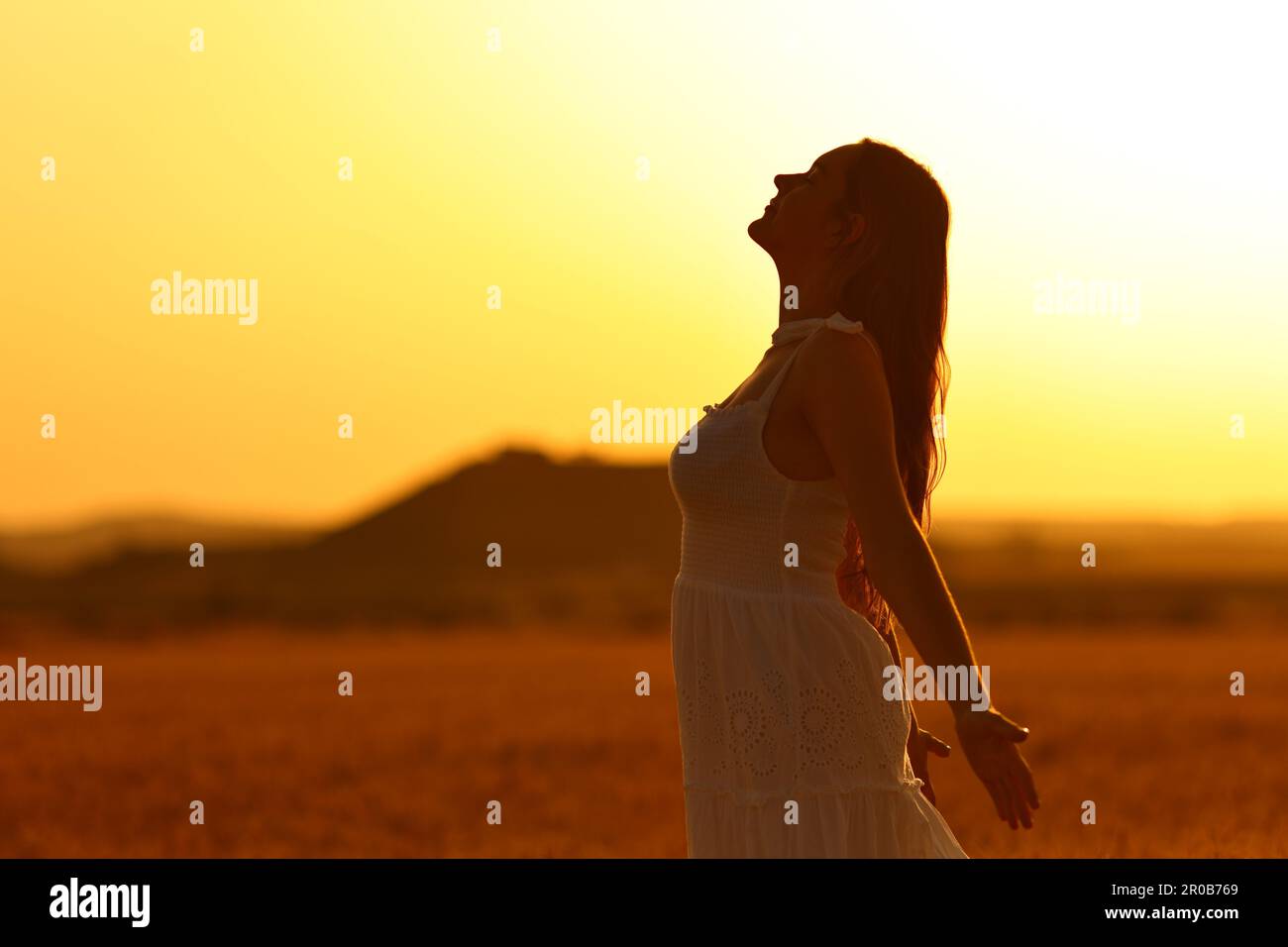 Profile of a woman silhouette breathing fresh air in a wheat field at ...
