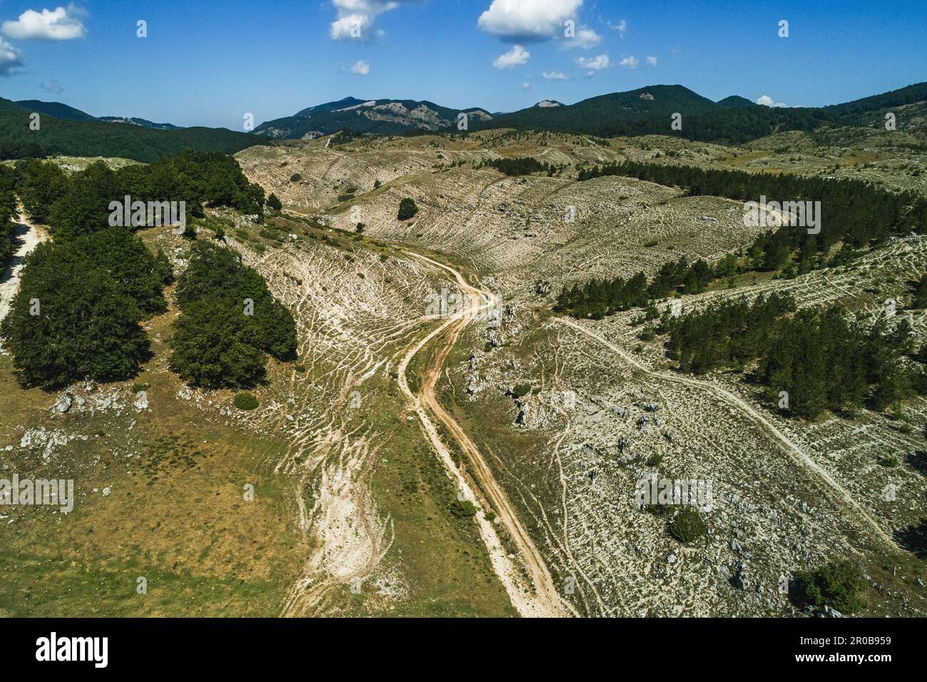 Aerial view. Rugged karst plateaus and fresh beech woods along the cart
