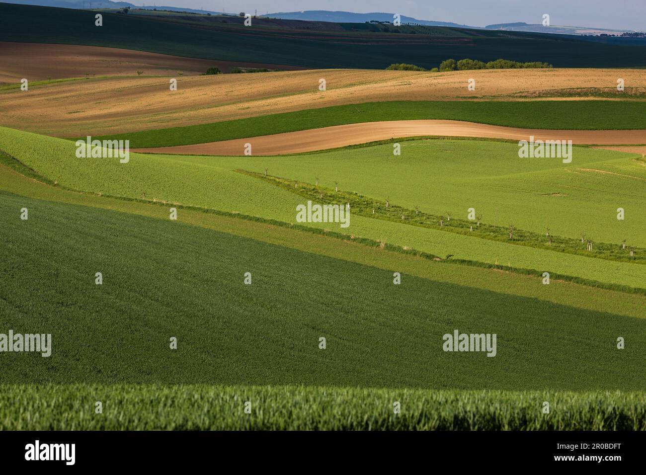 Amazing stripe patterns on fields of South Moravia, green and yellow ...