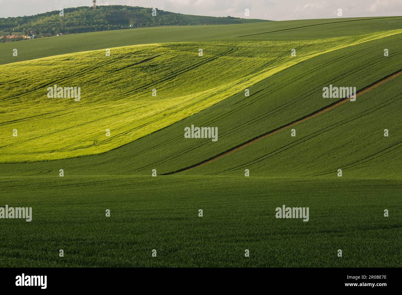 Amazing stripe patterns on fields of South Moravia, green and yellow ...