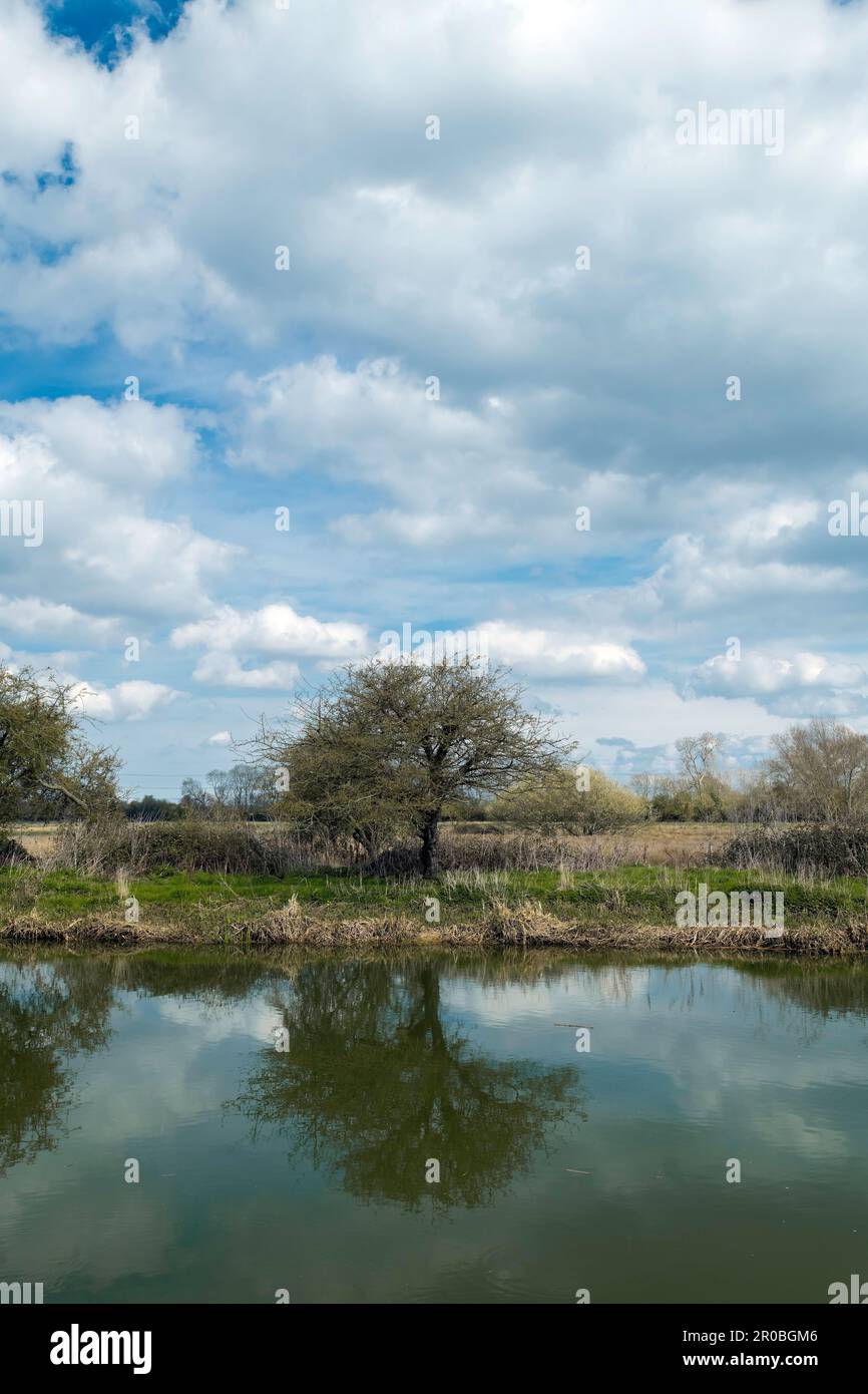 The Nene River is a river in Northampton, UK Stock Photo - Alamy