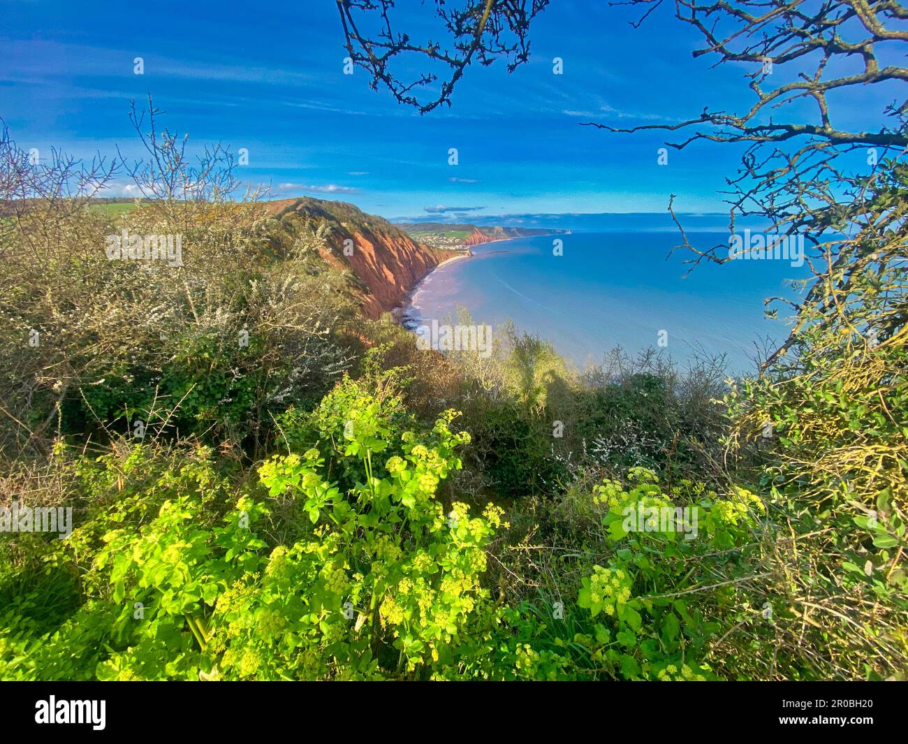 The Jurassic Coast in Devon Stock Photo Alamy