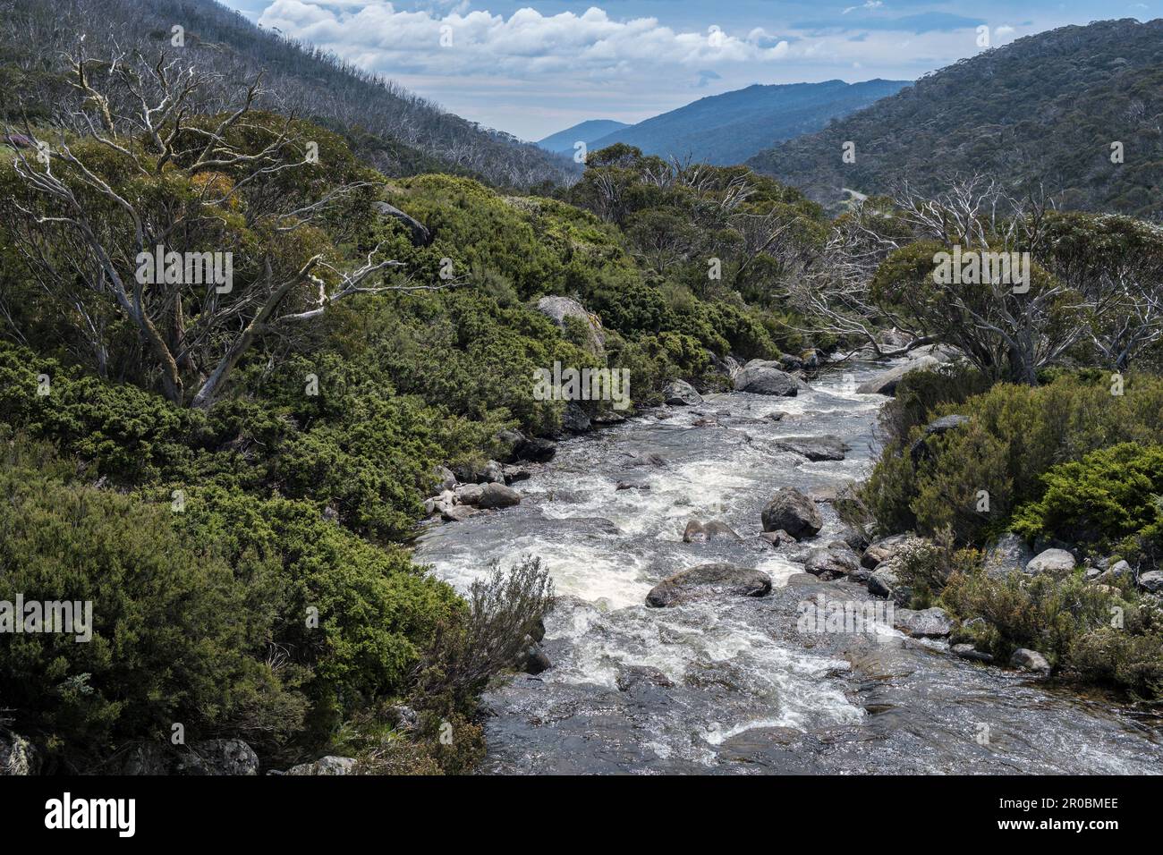 The Theredbo River at Dead Horse Gap, Kosciuszko National Park, New South Wales, Australia Stock Photo