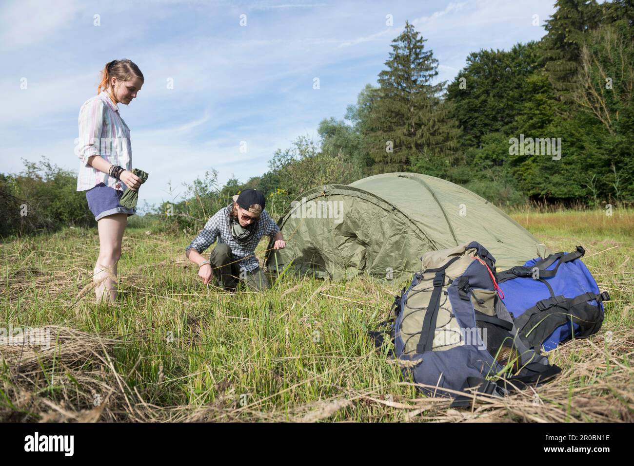 Young couple setting up tent in a forest, Bavaria, Germany Stock Photo