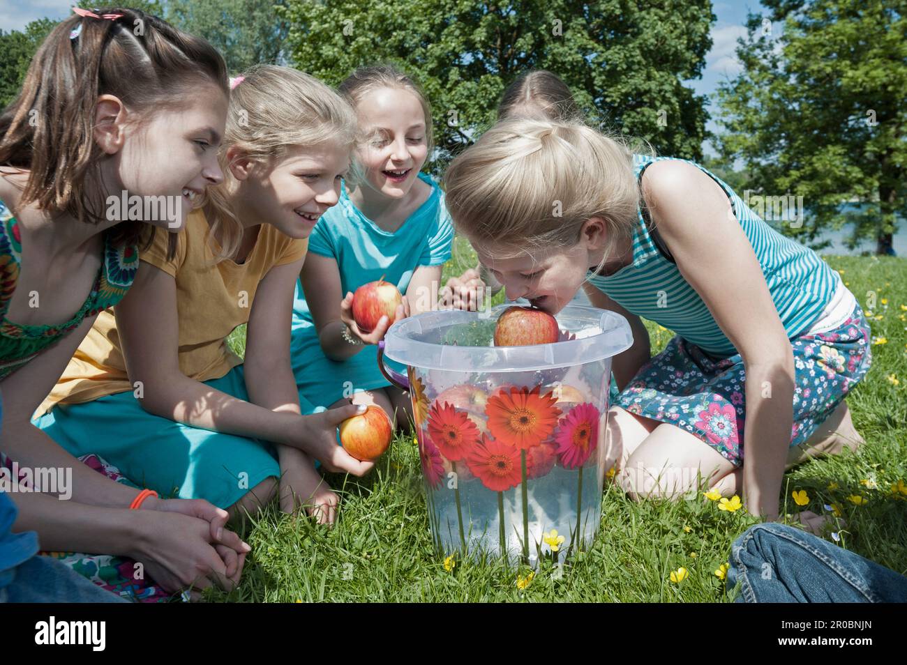 Girl trying to take apple out of a bucket with their mouth, Munich, Bavaria, Germany Stock Photo