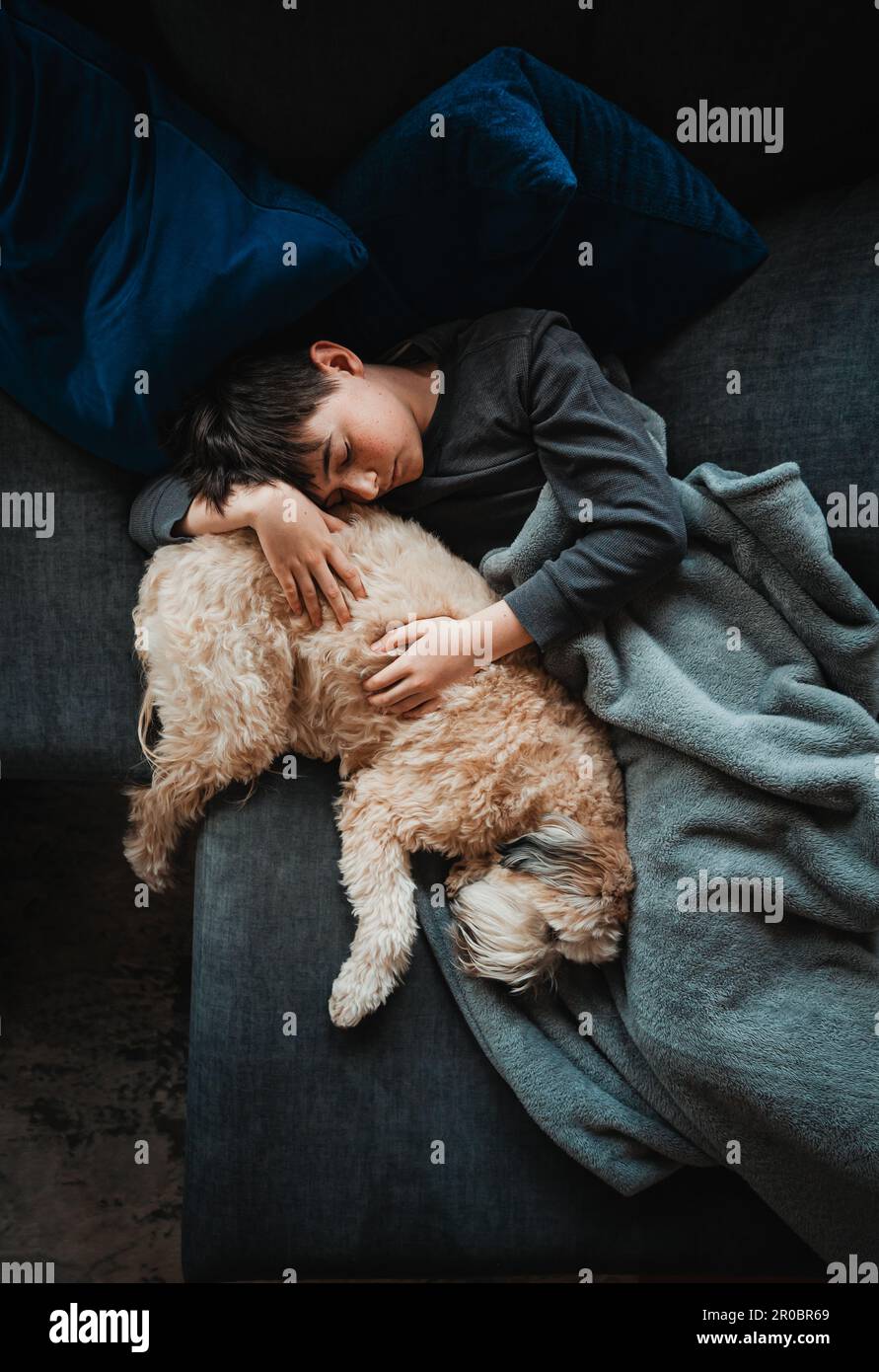 Overhead view of boy and fluffy dog sleeping on sofa together. Stock Photo