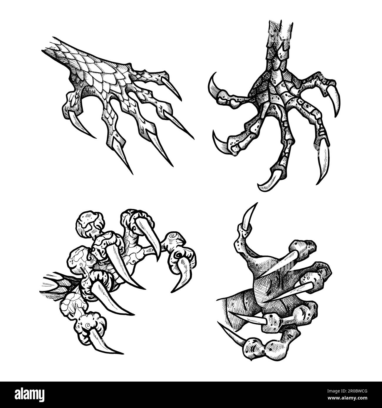 Dragon or monster paw with claws. Wild tattoo. Horror sticker