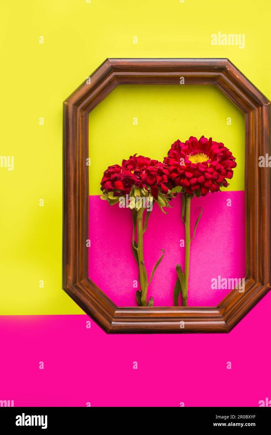 a garish painting composition with flowers and a wooden frame Stock ...