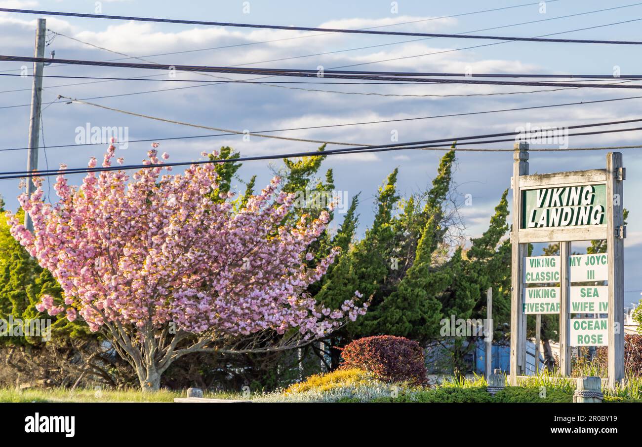 Landscape with Viking Landing sign in Montauk, NY Stock Photo