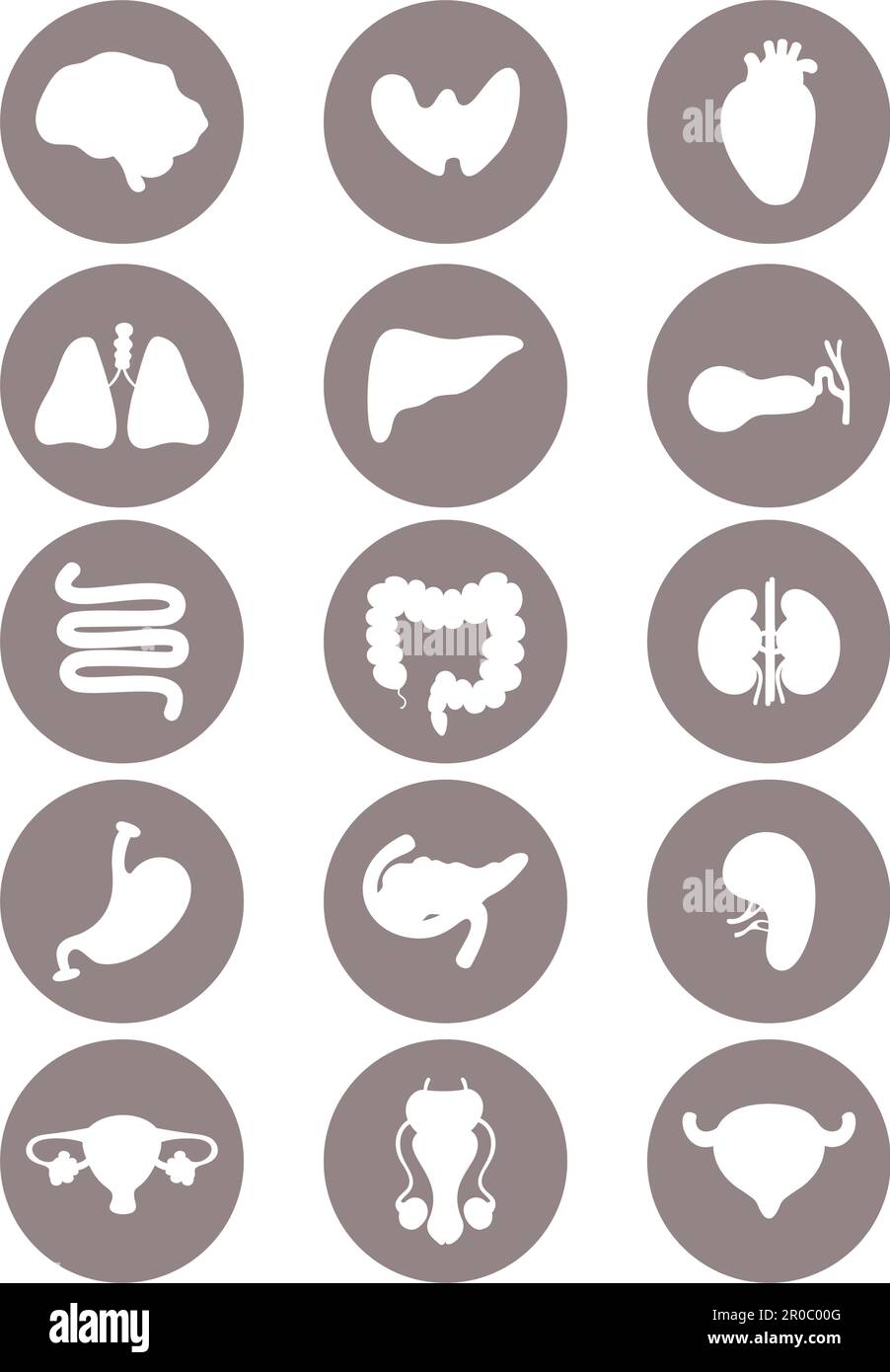 Set medical icons. Human internal organs. vector illustration. Anatomy concept. Isolated graphic drawings silhouettes in circle Stock Vector
