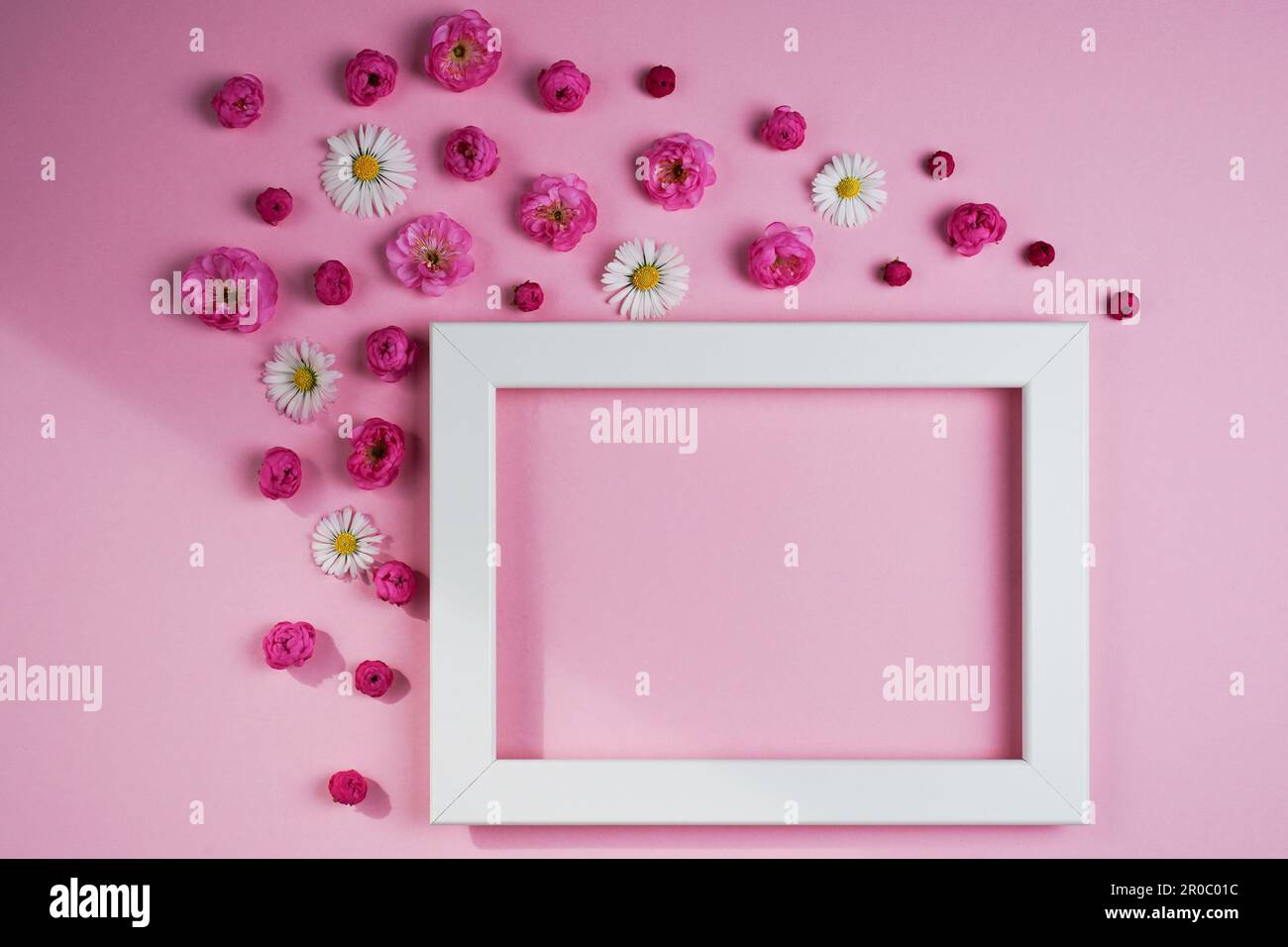Flat lay, creative layout of blossoms, buds and petals of cherry, plum, daisy flowers with frame on pink background. Prunus Triloba Louiseania. Mockup Stock Photo