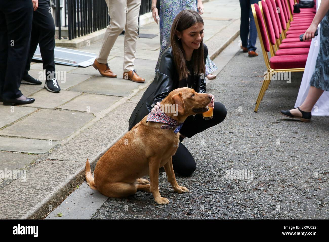 London, UK 7 May 2023. A guest with the Sunak's family dog, Nova during the Coronation Big Lunch in Downing Street. Prime Minister Rishi Sunak and his wife, Akshata Murty host a Coronation Big Lunch on Downing Street, Westminster for members of the community, charities organisations, volunteer and people from Ukraine living in the UK following the outbreak of the Russian invasion. The nation continues to celebrate the Coronation of King Charles III and Queen Camilla on 6 My 2023 as Big Coronation Lunch. Credit: Dinendra Haria/Alamy Live News Stock Photo