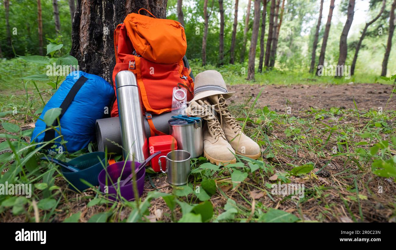 Hiking equipment in a pine forest. Backpack, thermos, sleeping bag