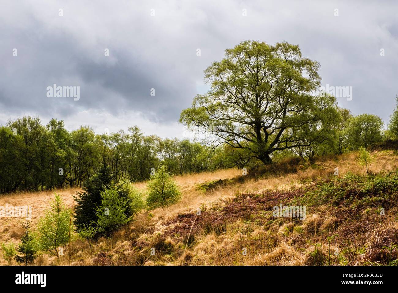Wild country landscape in Cwm Pennant valley in Snowdonia National Park