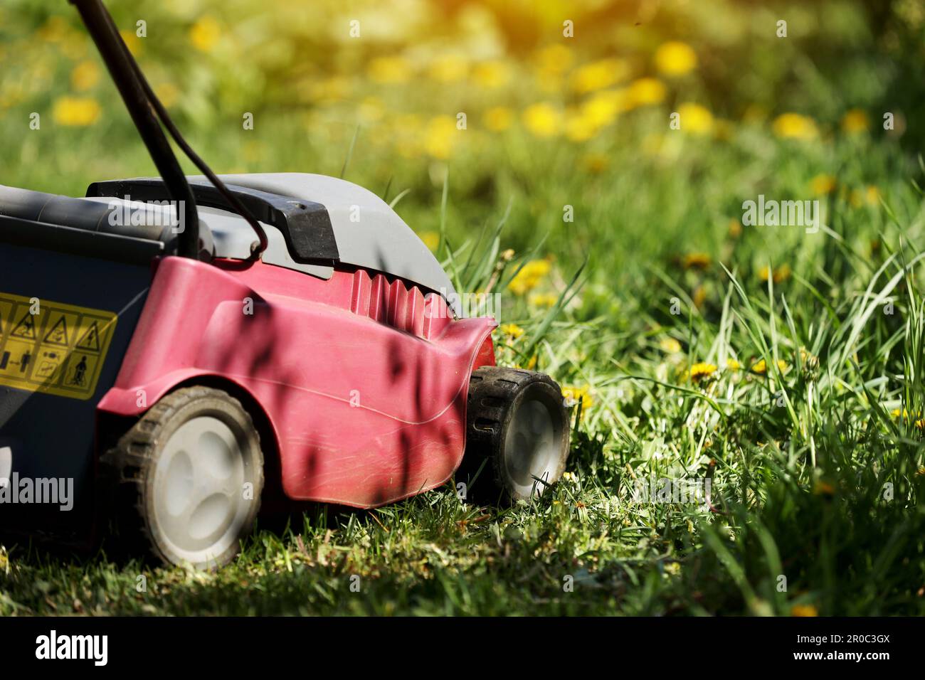 Hand electric red Lawnmower during the first mowing of a green fresh lawn  with spring flowers, sunlight. Home garden care. Garden and backyard  landsca Stock Photo - Alamy