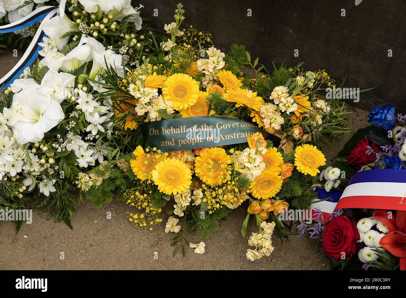 Capitulate clipart of flowers