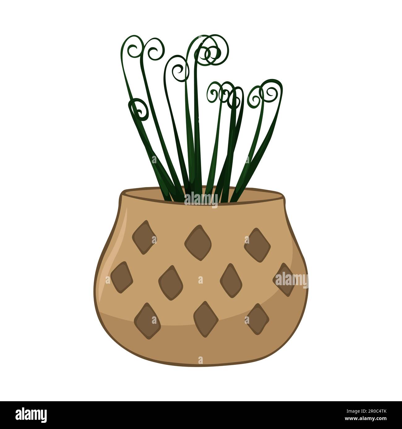 Hand drawn cute summer illustration of growing albuca in pot. Flat vector home plant Isolated on white background. Stock Vector