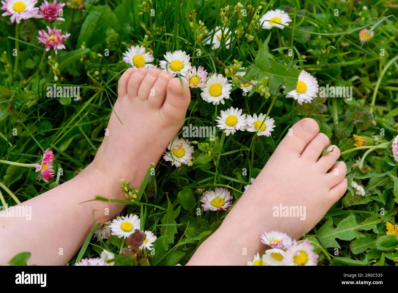 Kids playing outdoor on the yard. Little feet on the green grass, close