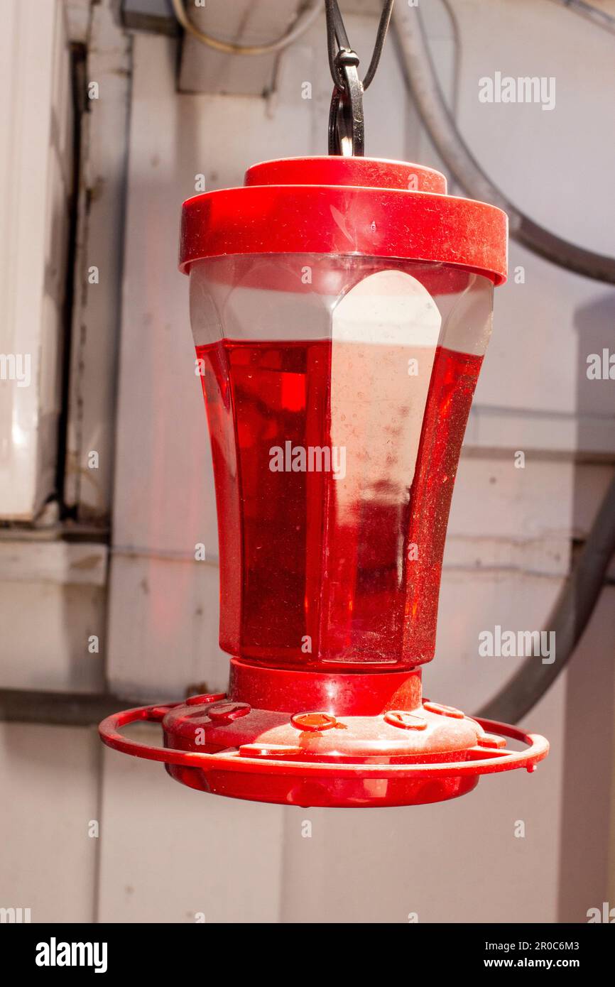 April 24, 2023, Las Vegas, Nevada, USA: Hummingbird feeder. (Credit Image: © John Marshall Mantel/ZUMA Press Wire) EDITORIAL USAGE ONLY! Not for Commercial USAGE! Stock Photo