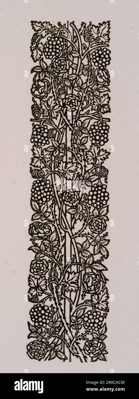 Love is Enough - upright Border or Sidepiece with Roses and Vines with Bunches of Grapes entwined around a Pole, 1872. William Morris Stock Photo