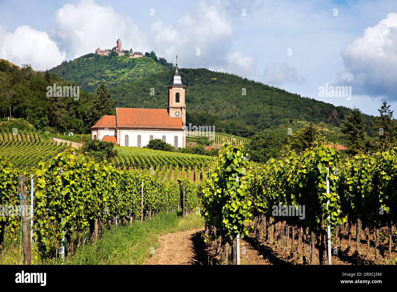 Church of St. Maurice, view to Hautkoenigsbourg, Orschwiller, Alsace, France Stock Photo