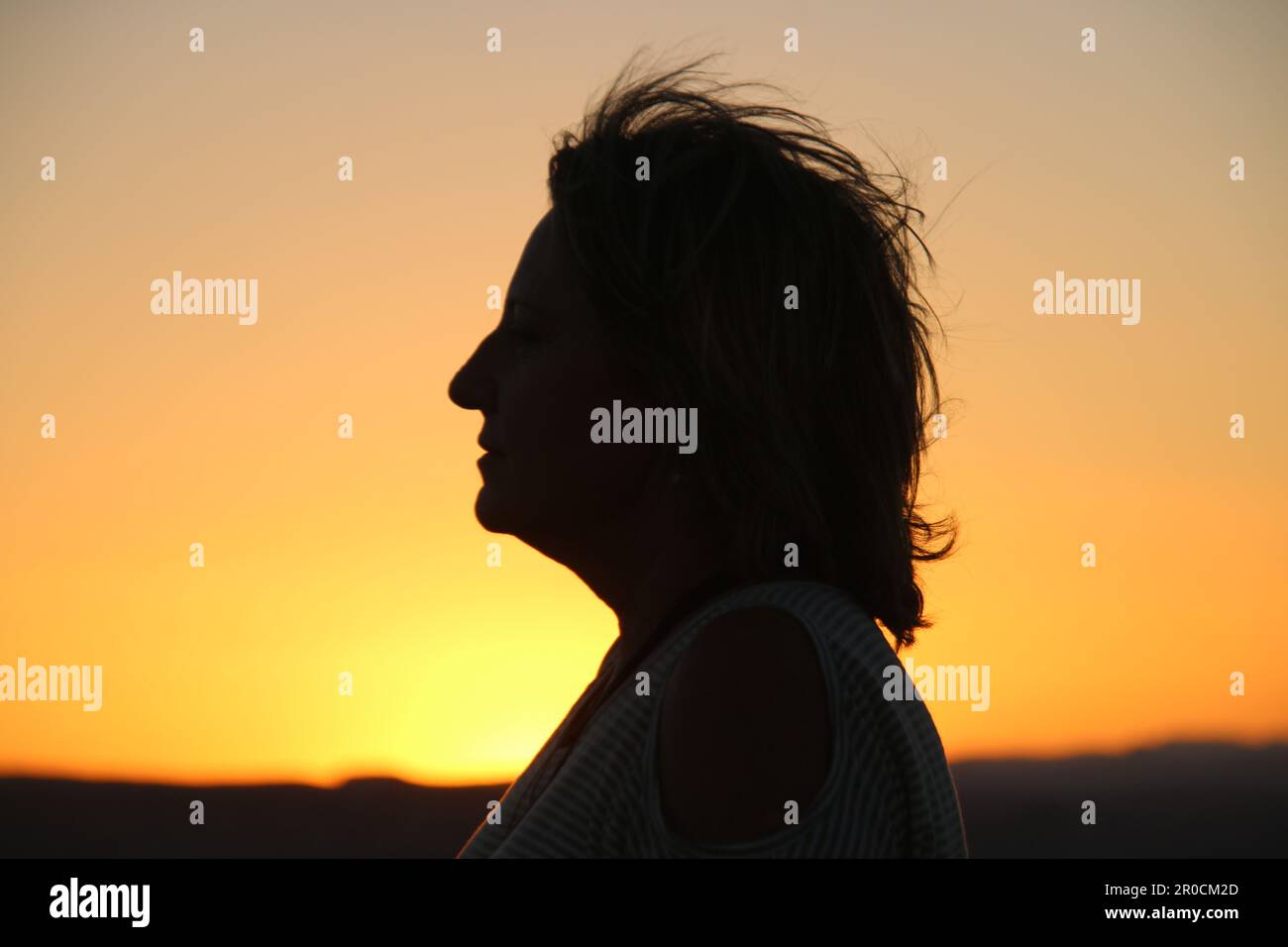 Cleanly defined silhouette of a male person turned to the left against a  blue background with