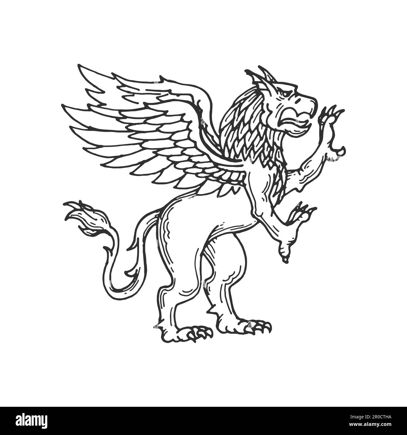 My Image 26