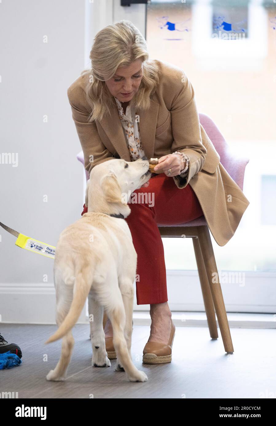 The Duchess of Edinburgh takes part in a puppy class at the Guide Dogs