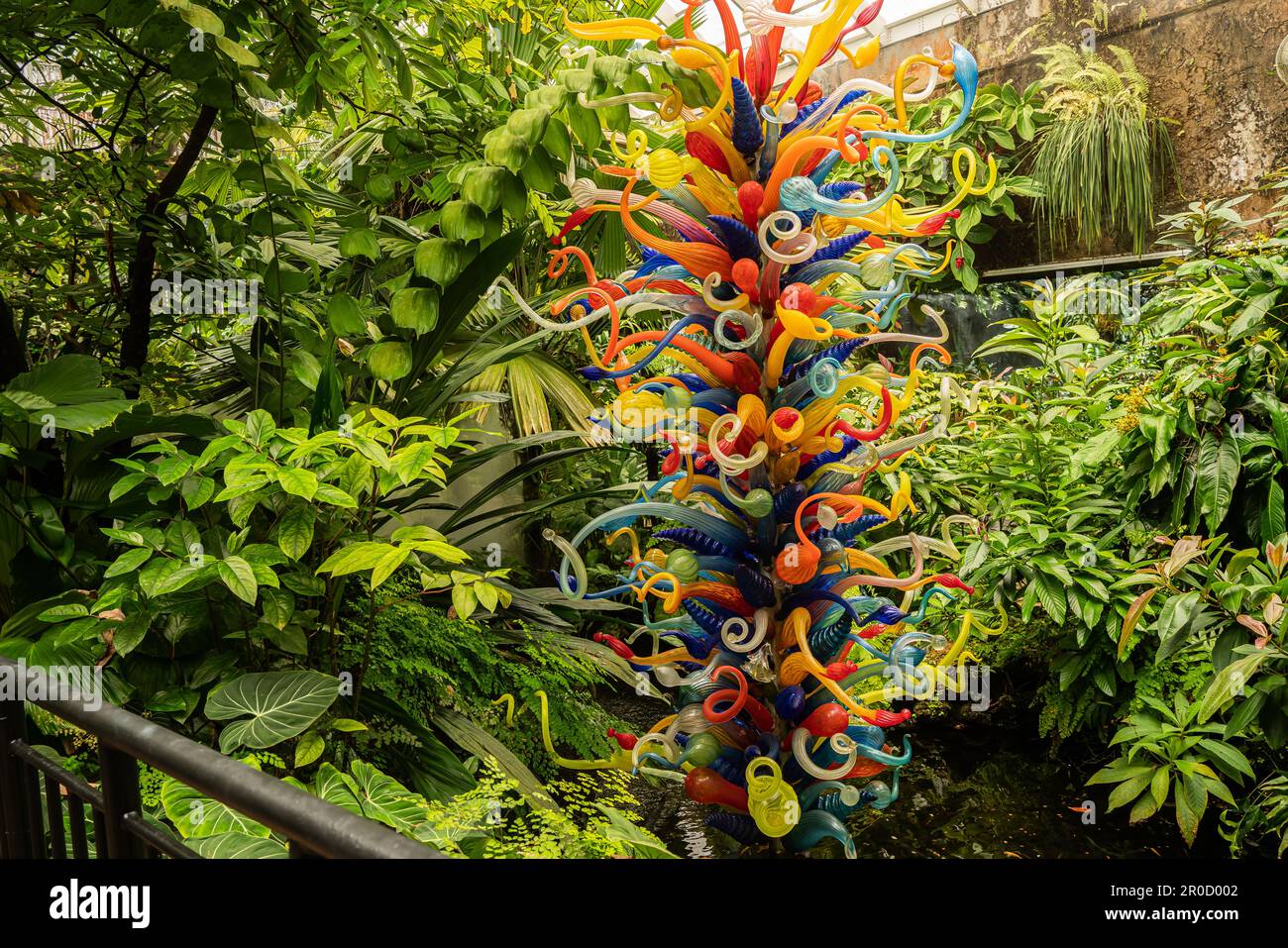 Fairchild Tropical Botanic Garden in Miami, Florida Flowers, striking plants, and a thoughtful