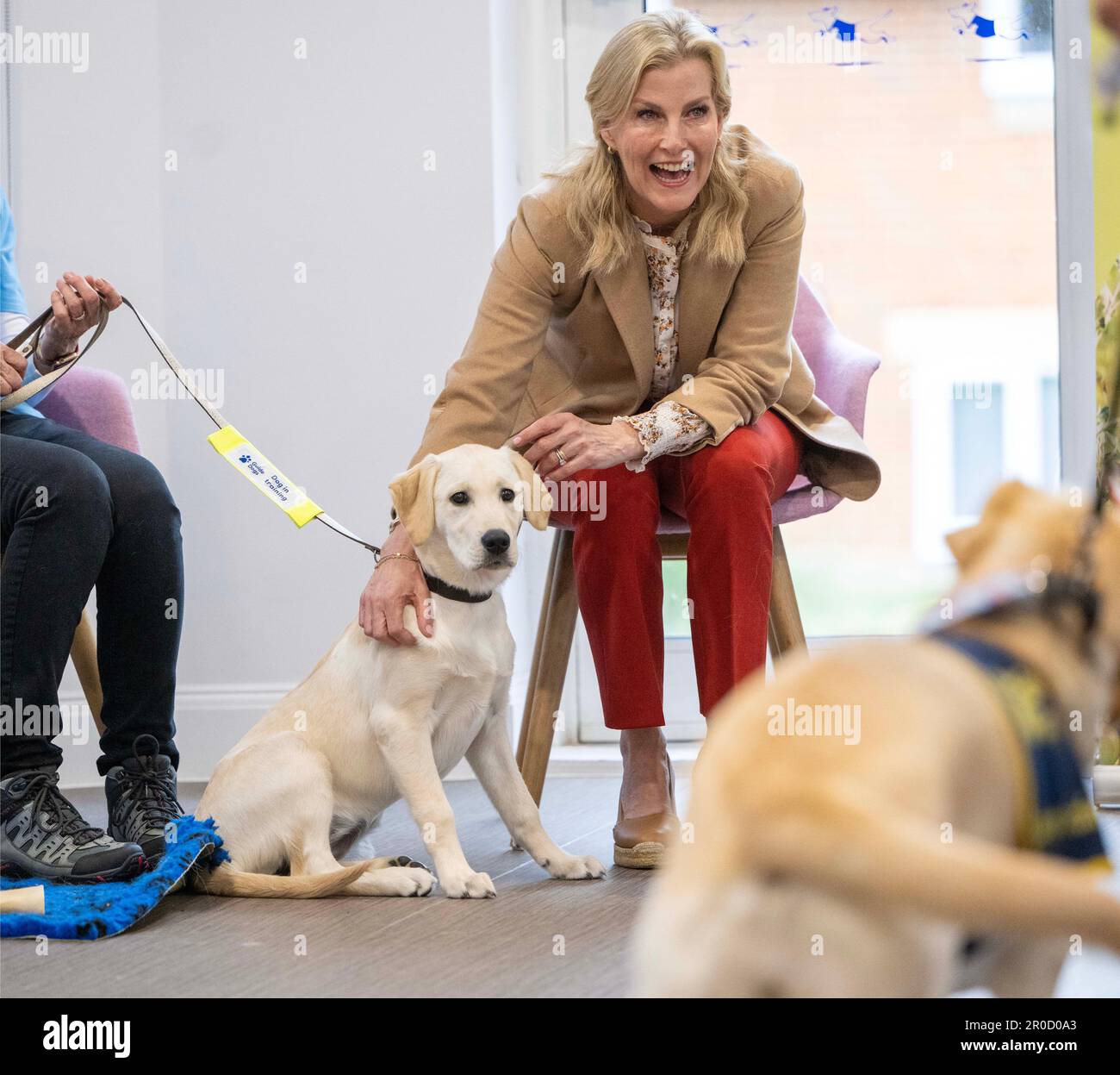 The Duchess of Edinburgh takes part in a puppy class at the Guide Dogs ...