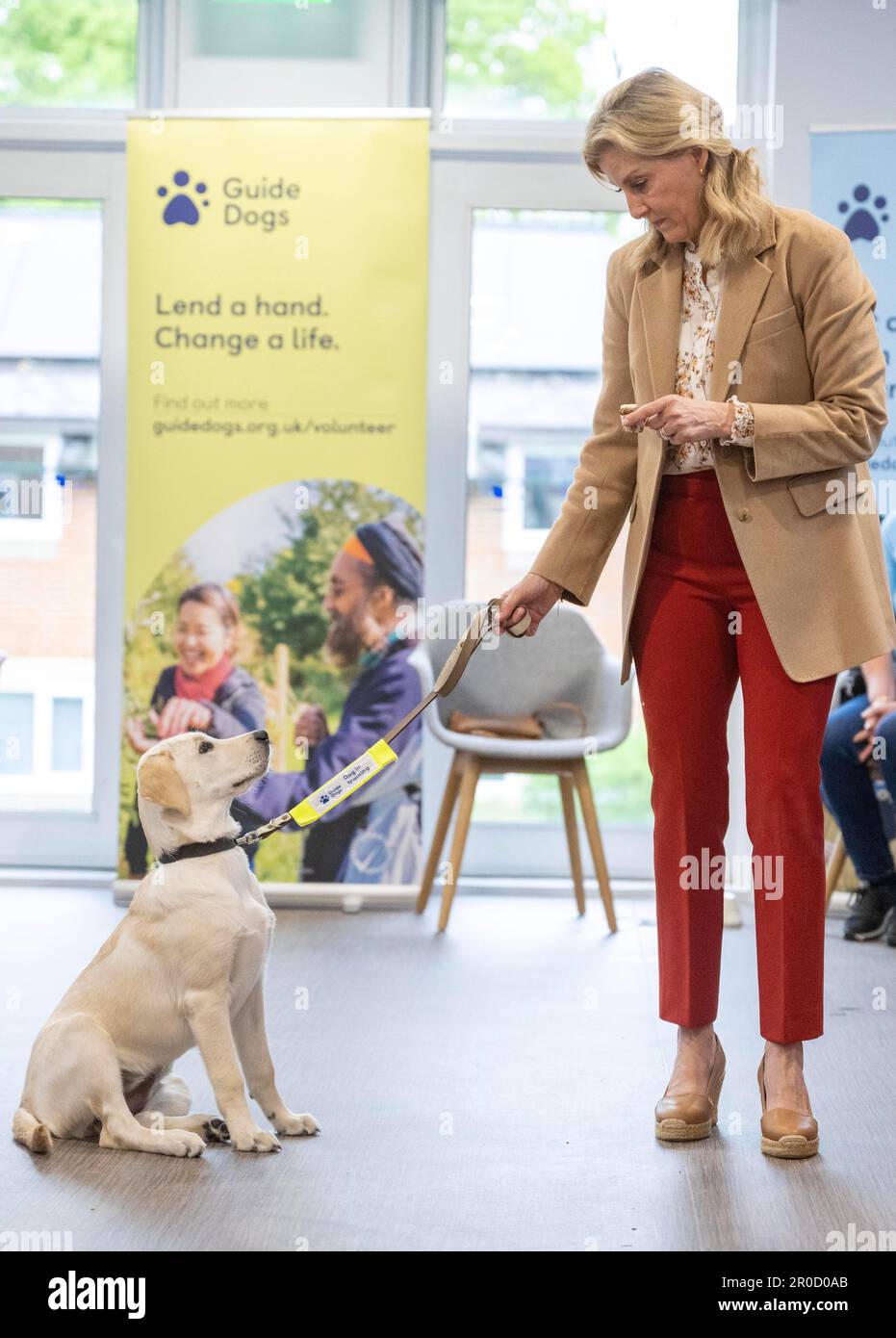 The Duchess of Edinburgh takes part in a puppy class at the Guide Dogs