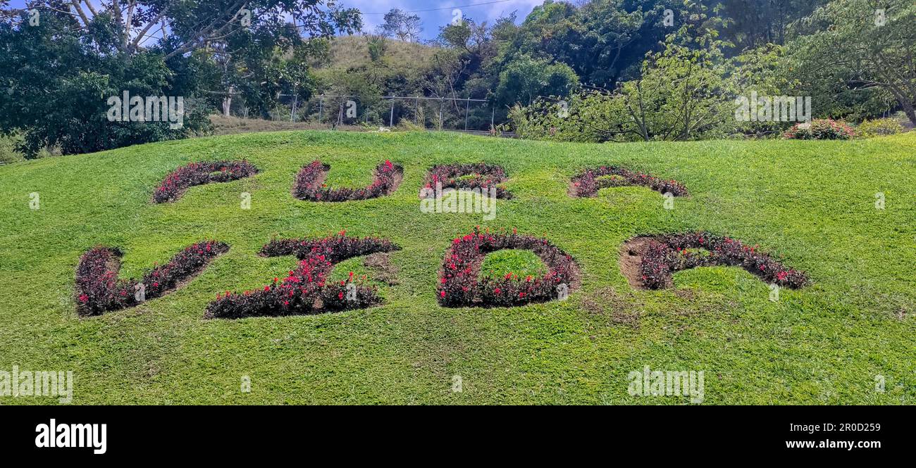 San Ramon, Costa Rica - 'Pura Vida,' a characteristic Costa Rican slogan, is growing on the grounds of the restaurant El Jardin. Literally translated Stock Photo