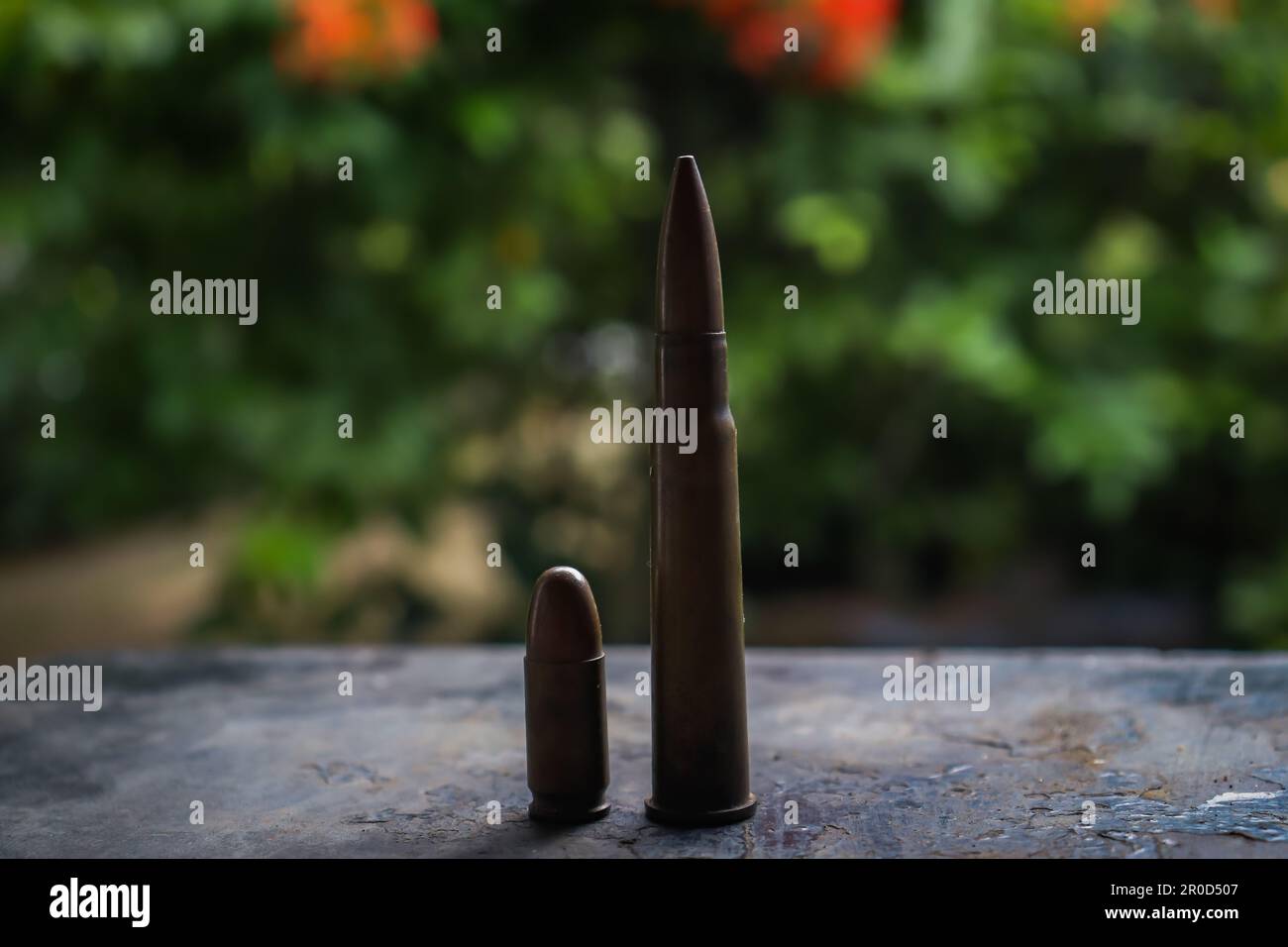 different types of bullets background natural Stock Photo - Alamy