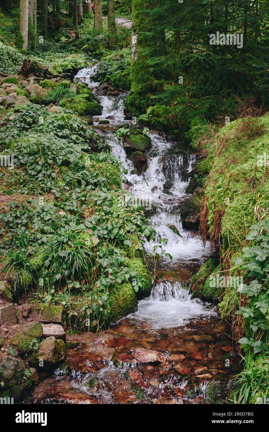 Rough mountain river with rocky shores, original rock configuration on ...