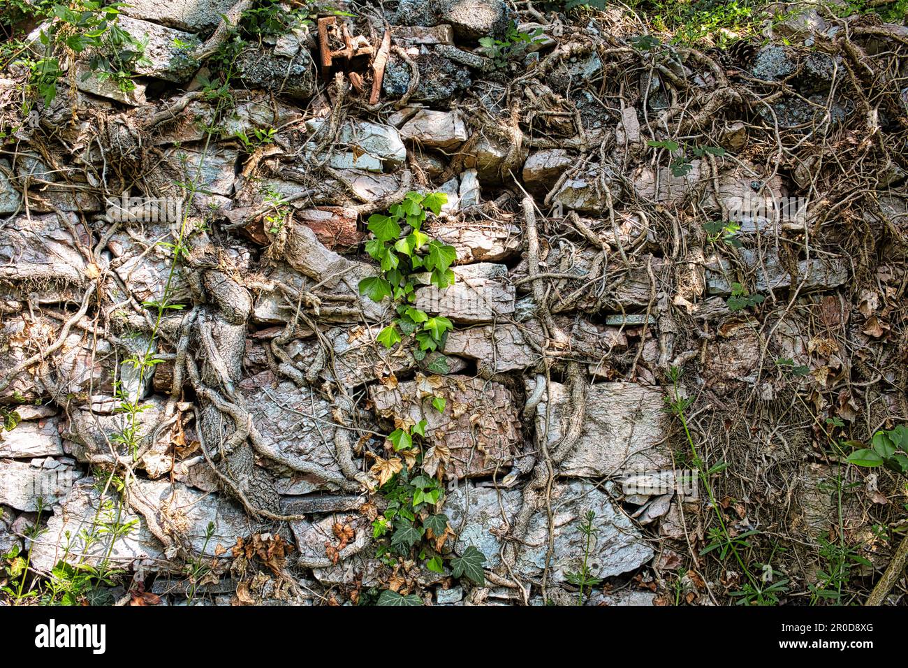 Random texture hi-res stock photography and images - Alamy