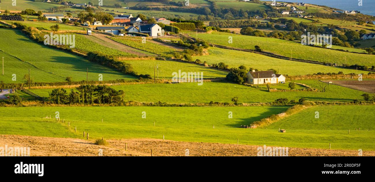 Green farm fields in the south of Ireland on a summer evening. Agricultural Irish landscape. Pastures for livestock, house on field. Stock Photo
