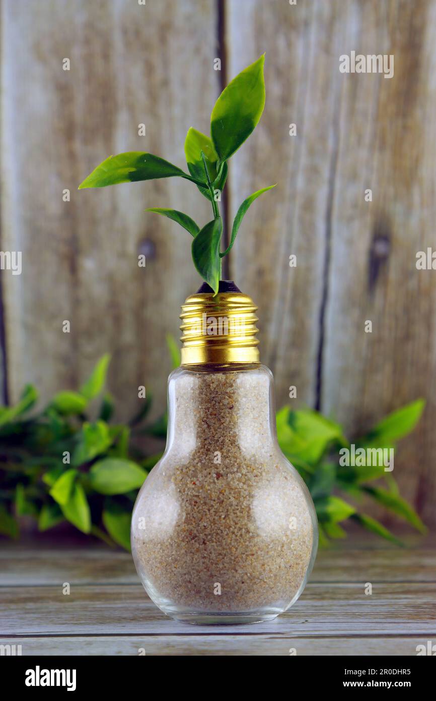 Plant growing inside the light bulb. Green eco renewable energy concept ...
