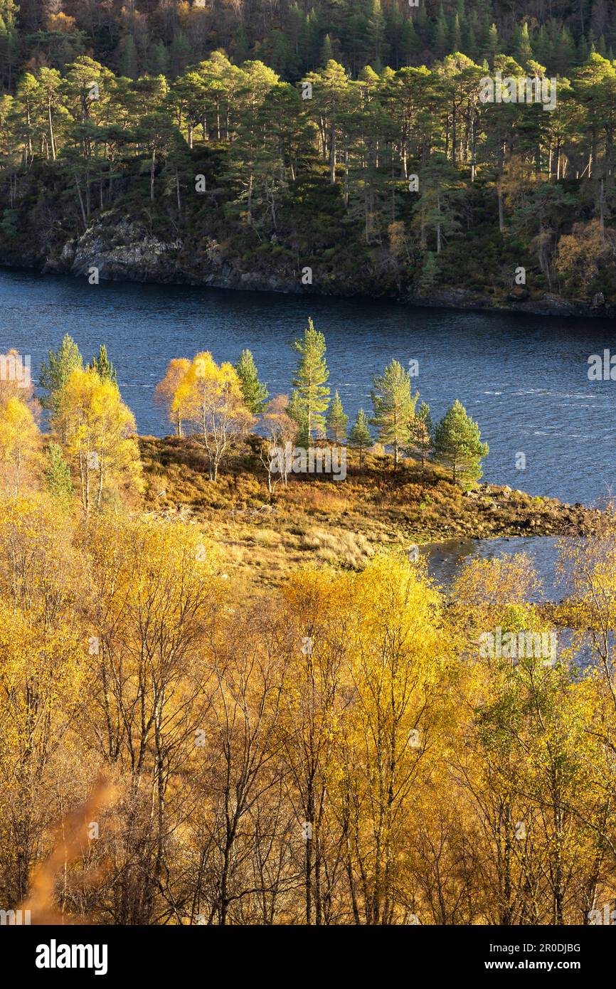 Autumn. Loch Beinn a' Mheadhoinm,  Glen Affric near Cannich, Highlands Scotland. Stock Photo