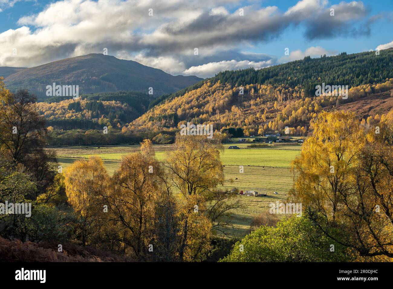 Autumn, Strathglasss near Cannich, Beauly, Highlands, Scotland Stock Photo
