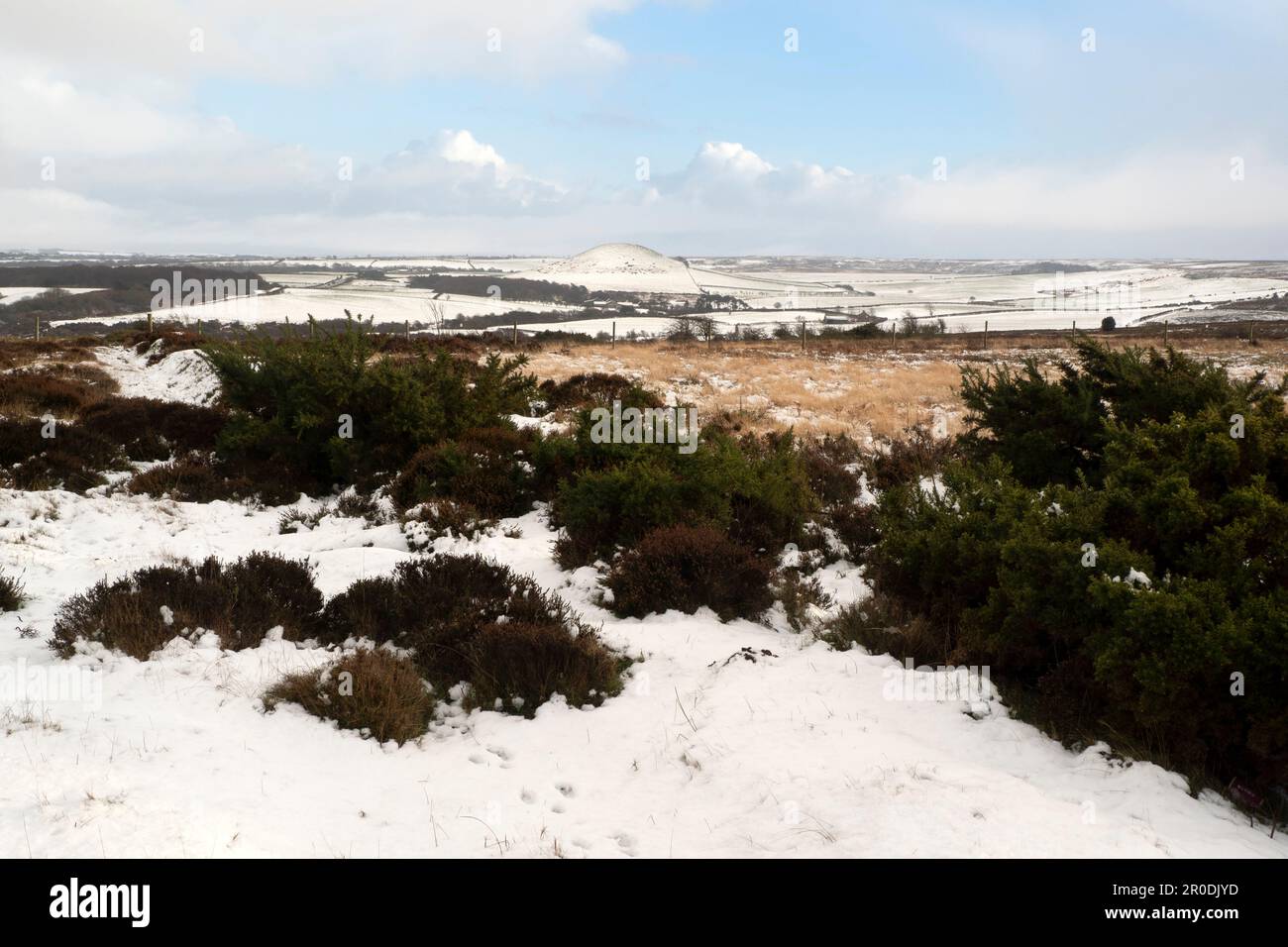 Freeborough Hill, in the Snow, North Yorkshire Moors Stock Photo