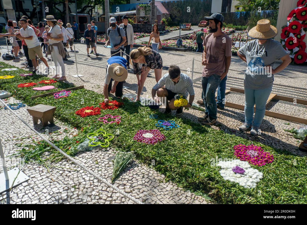 The May Flower Festival, Funchal, Madeira, Portugal Stock Photo