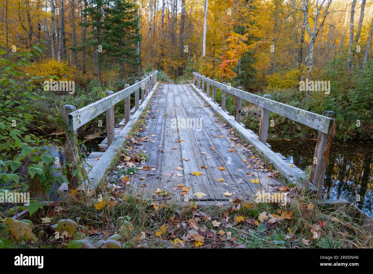 This image is of a bridge along the North Shore National Trail in Northern Wisconsin. It was taken while RV camping in a National Forest Campground. Stock Photo